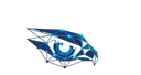 FalconEyeQ logo